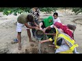 आओ सगला- रुँख बुलावै रे 🙏🏻🌳