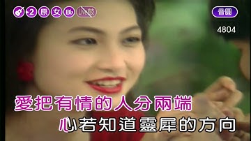 城裡的月光~許美靜~女原Bb調~伴奏導唱(丙)