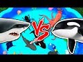 Sharks vs Animals – Learn Sea Animal and Wild Animal Names and Facts in Shark Video Water Battle