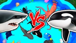 Sharks vs Animals – Learn Sea Animal and Wild Animal Names and Facts in Shark Video Water Battle screenshot 4