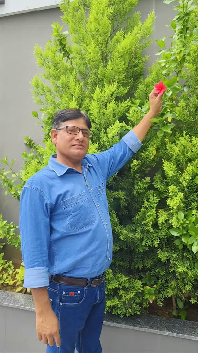 how much beautiful gudal🌺#ytshorts ##plants #ytshorts