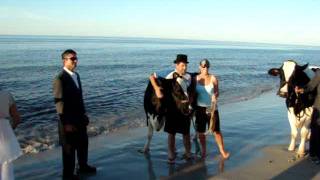 Big S On Busselton Beach