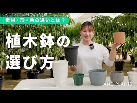 陶器の鉢 vs プラスチックの鉢、どっちが最適？失敗しない選び方を徹底解説