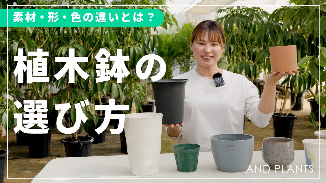 How to Choose the Right Plant Pot | Did You Know the Pot You