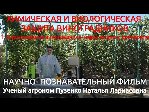 Опрыскивание виноградников, меры защиты, препараты (Пузенко Наталья Лариасовна)