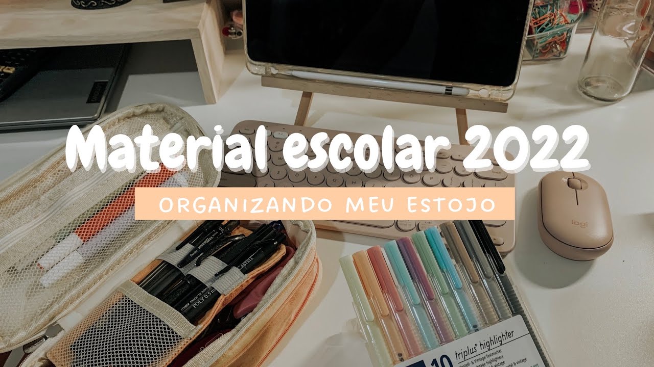 MEU MATERIAL ESCOLAR 2022- parte 2 (organizando meu estojo)