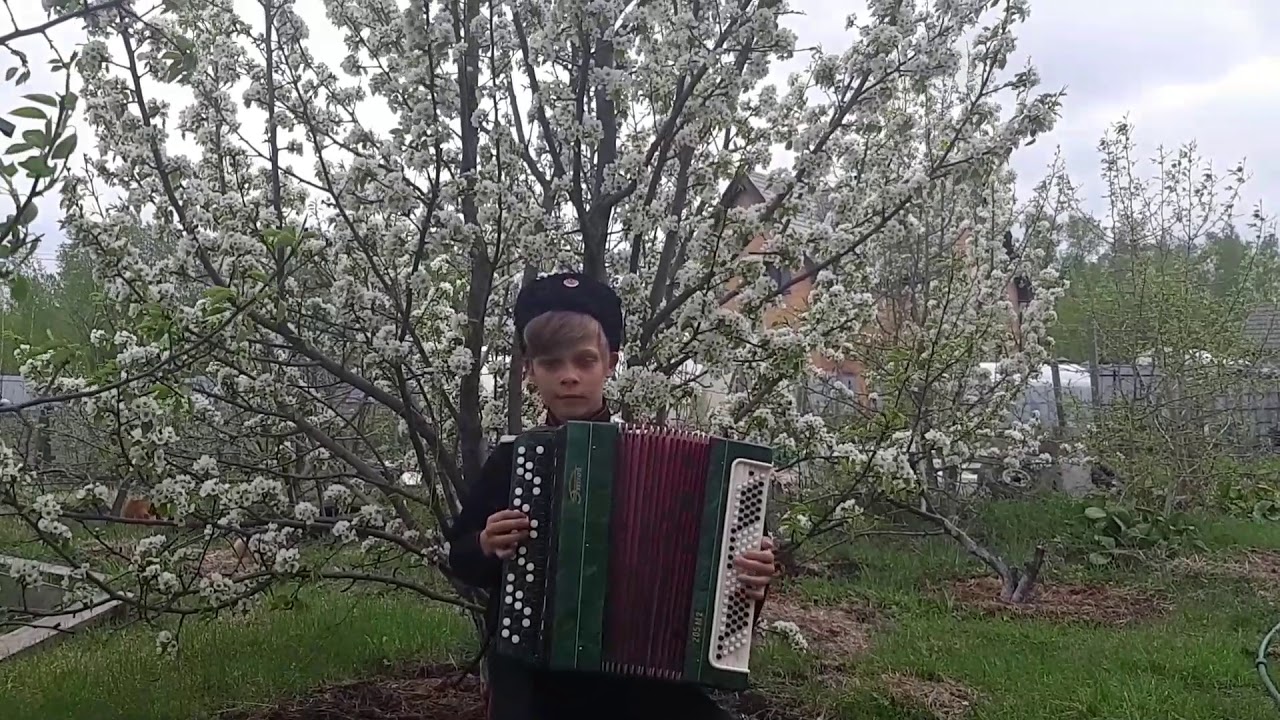 Катюша на аккордеоне