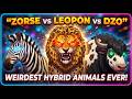 Every Hybrid Animal You Didn't Know Existed in 40 Minutes