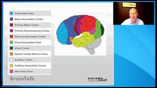 Cancer and the Brain, How Brainwave Optimization helped me to Survive - BrainTalk