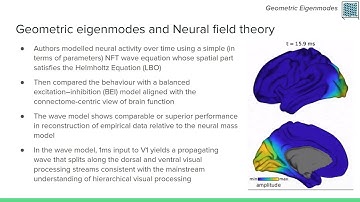 On Connectome and Geometric Eigenmodes of Brain Activity