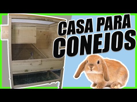 Video: Cómo Hacer Una Casa Para Un Conejo