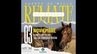 Remate de Primavera de Caballos Cuarto de Milla 2025 - APCM y El Rodeo Consignataria
