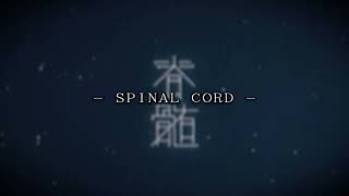 ＳＰＩＮＡＬ ＣＯＲＤ
