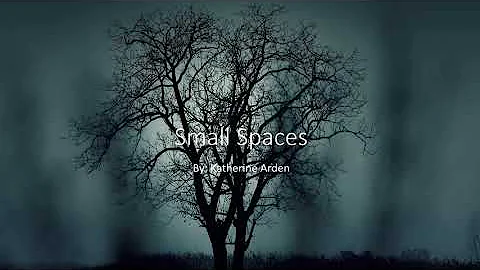 Small Spaces By: Katherine Arden Book Trailer