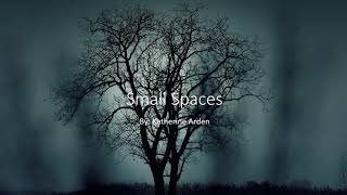 Small Spaces by Katherine Arden Book Trailer 