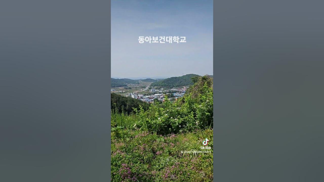 동아보건대학교 #간호학과 #풍경좋은학교 - Youtube