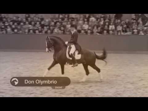 wake your soul - Equestrian Music Video