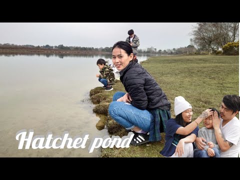 Hatchet pond #New Forest National Park with Family.