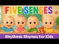 Five Senses | Baby Learning Rhyme | Rhythmic Rhymes For Kids