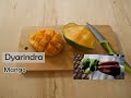 Perbedaan cara aku memakan buah mangga dulu dengan sekarang