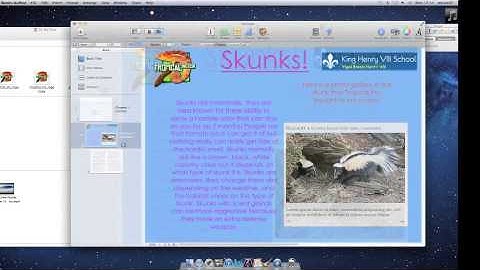 iBooks Author Image Galleries