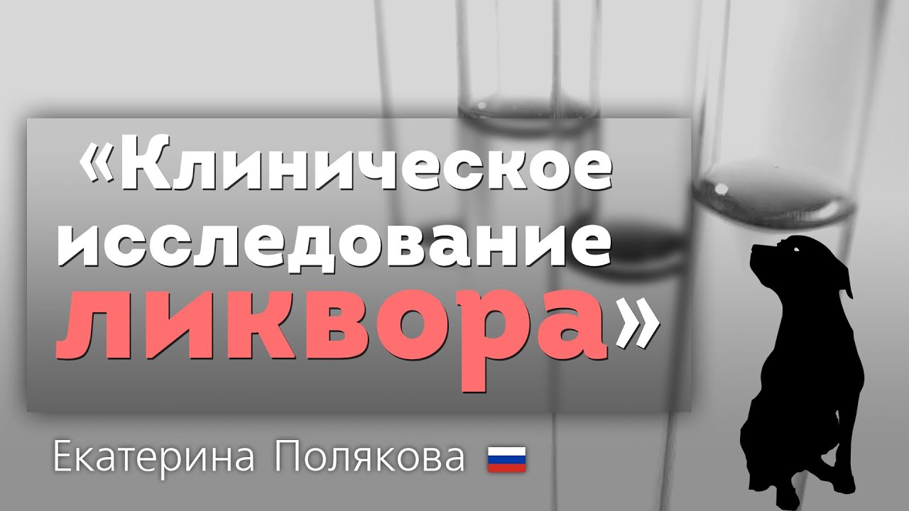 Клиническое исследование ликвора