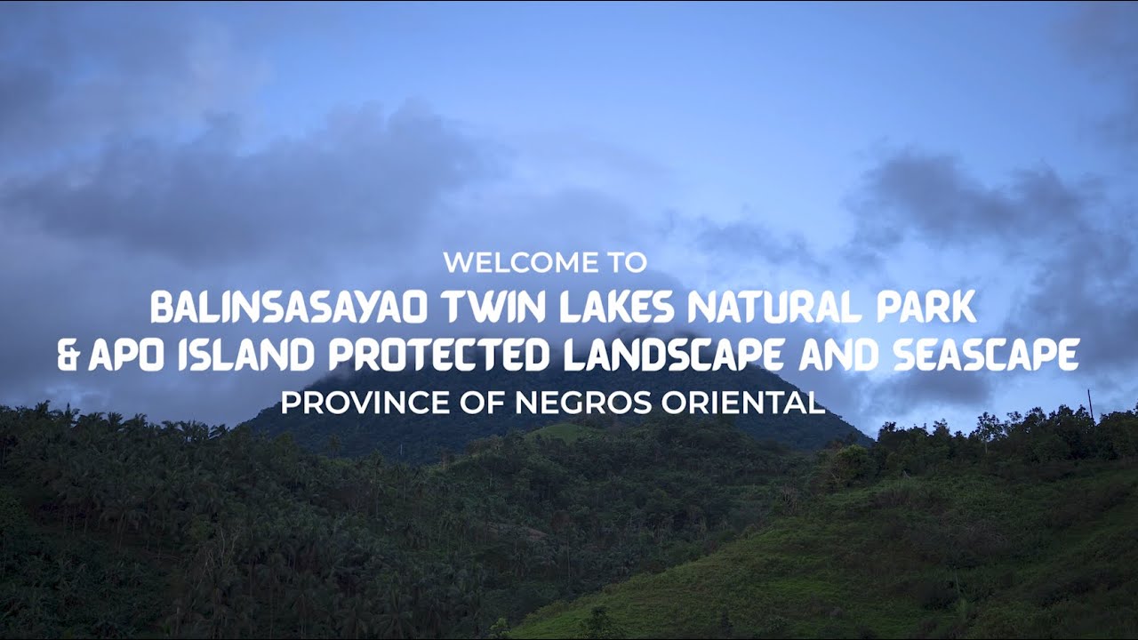 Virtual Tour | Balinsasayao Twin Lakes Natural Park & Apo Island PLS