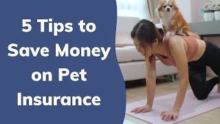 5 Tips to Save Money on Pet Insurance | Wag! by Wag! Dog Walking 139 views 2 years ago 1 minute, 17 seconds