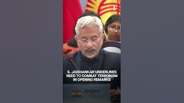 SCO FMs Meet Goa: India’s S. Jaishankar Greets Bilawal Bhutto, Underlines Need to Counter Terror