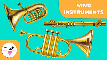 How do woodwind instruments work?