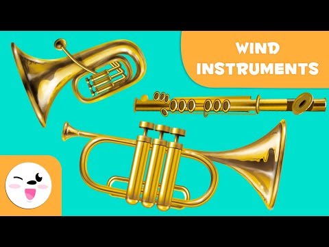 Video: What Is The Difference Between Wind Instruments