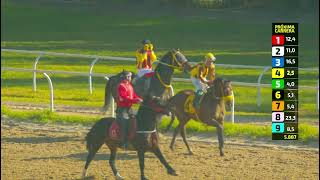 Vidéo de la course PMU PRIX DRESDEN