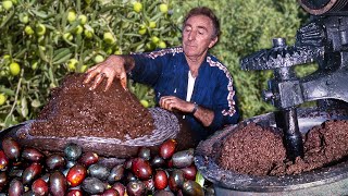 PURE OIL from the "milking" of olives and use of traditional machinery in a cooperative