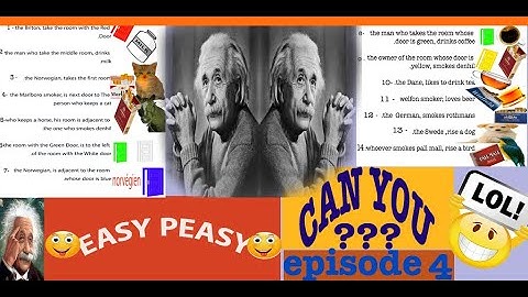 Can you solve "Einstein’s Riddle"