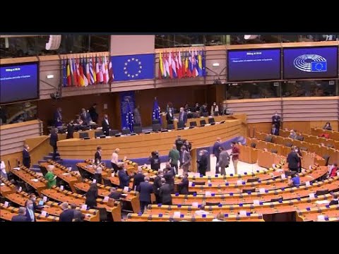 ქვეყნის ოლიგარქიულმა მმართველობამ კარგ მმართველობას ძირი გამოუთხარა - EPP-ს  განცხადება