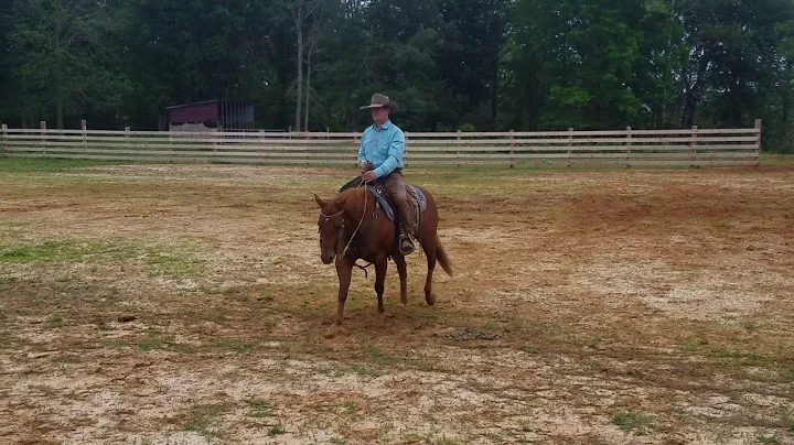 Scott Talley, Just Smile and Wave, Open Ranch Riding