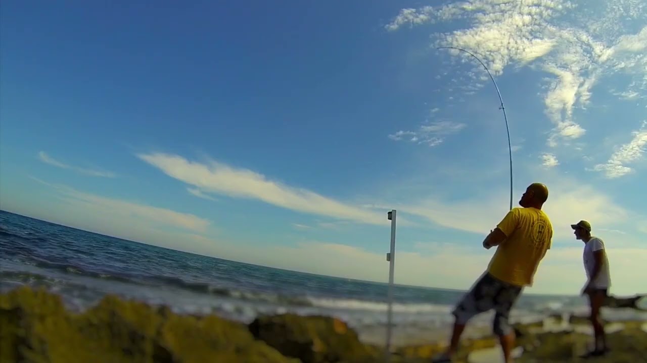 2014 Amberjack DENTONING youtubeconvert cc