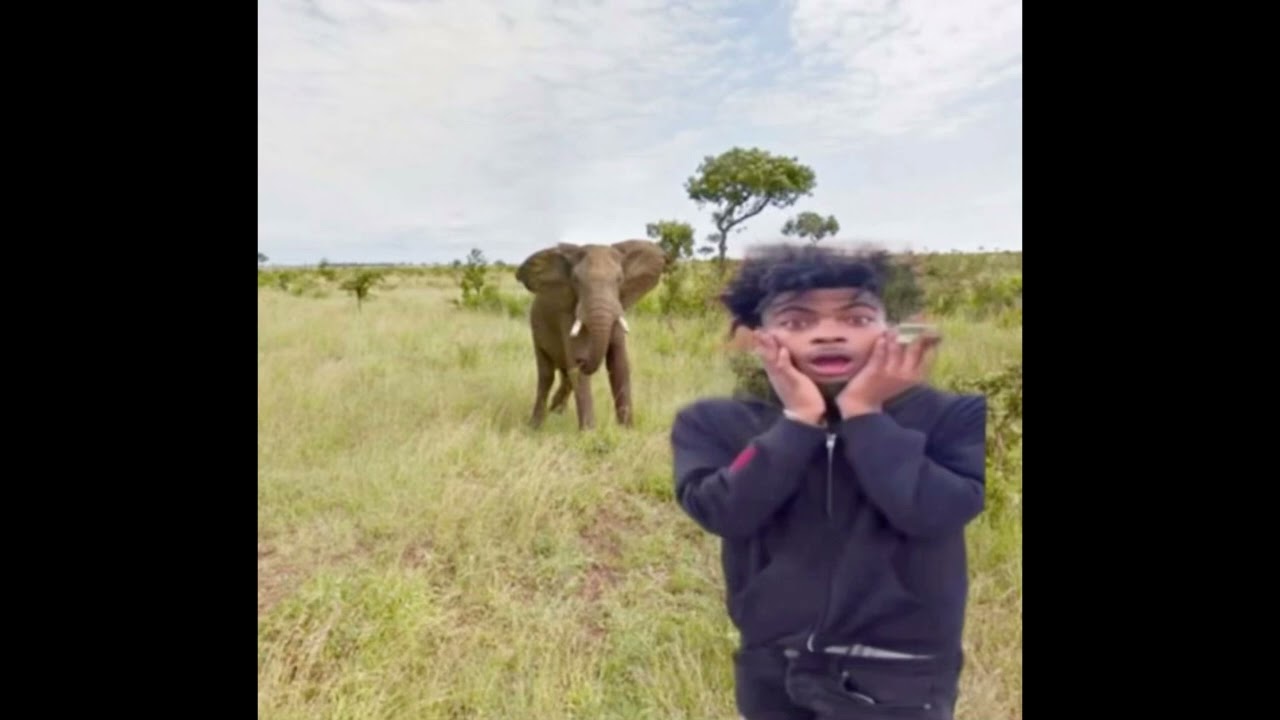 (free) 19thou boolymon perc40 osamason type beat “dump”