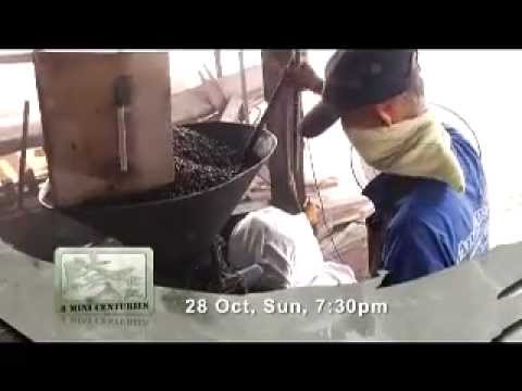 《跨世纪》_28.10.2012