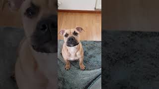 Fileex Baba Asker Selam 1