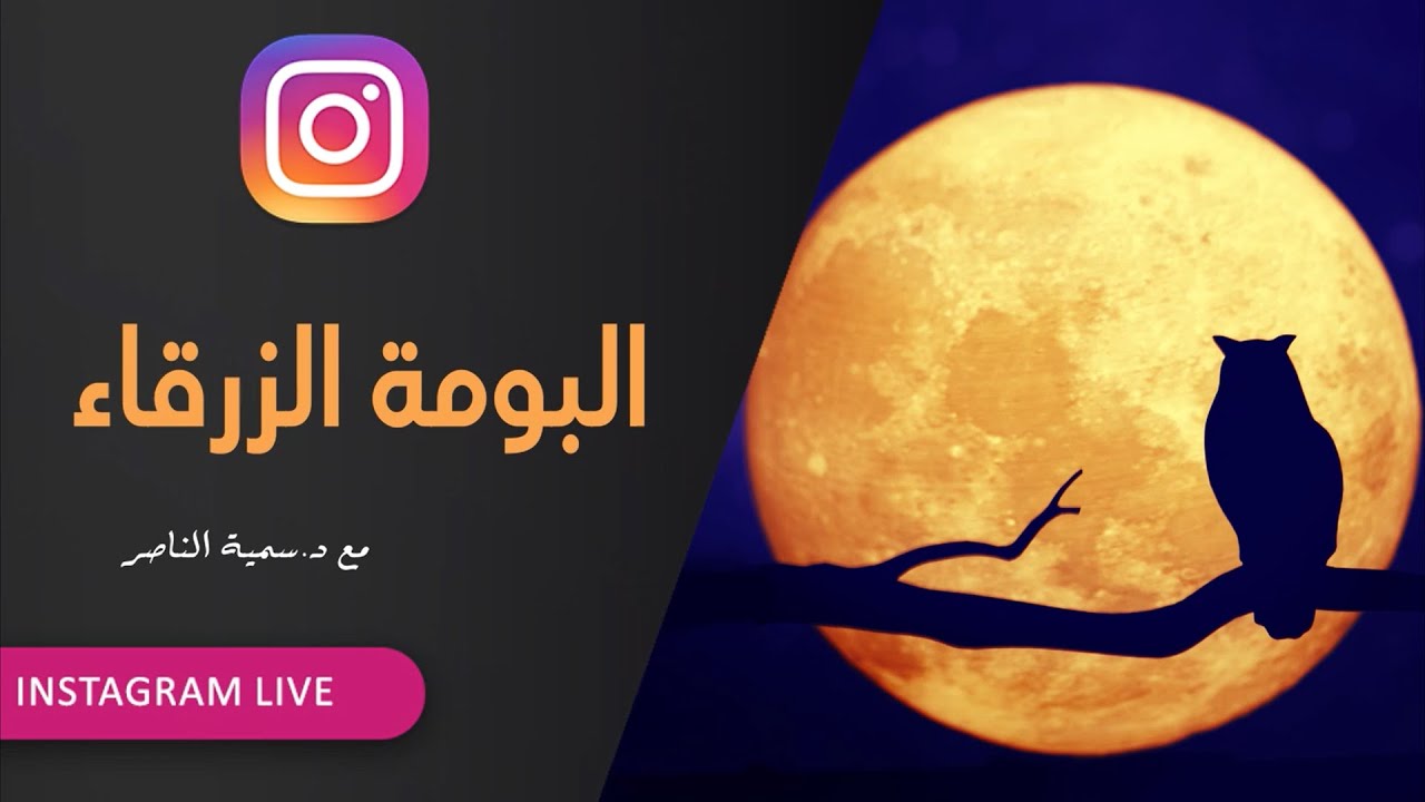 د.سمية الناصر | البومة الزرقاء