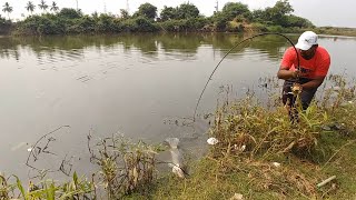 Fish hunting | Catching big catfish