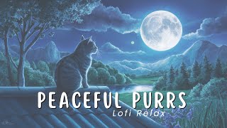 Relax Time 🐱💕 Peaceful Purrs 💕🐱 Lofi Chill Vibes