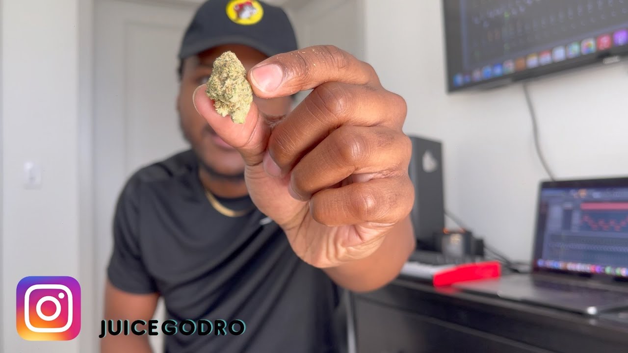 Yellow Zushi Strain Review YouTube