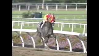 1997 Breeders' Cup Classic - Skip Away + Post Race