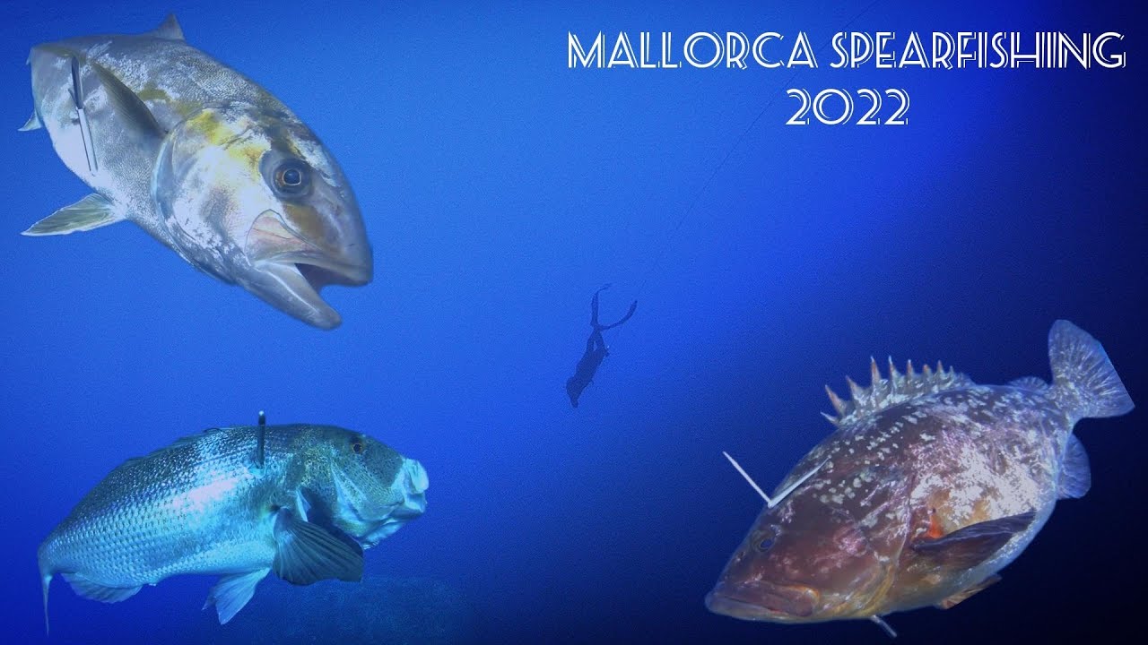 PESCA SUBMARINA MALLORCA 2022