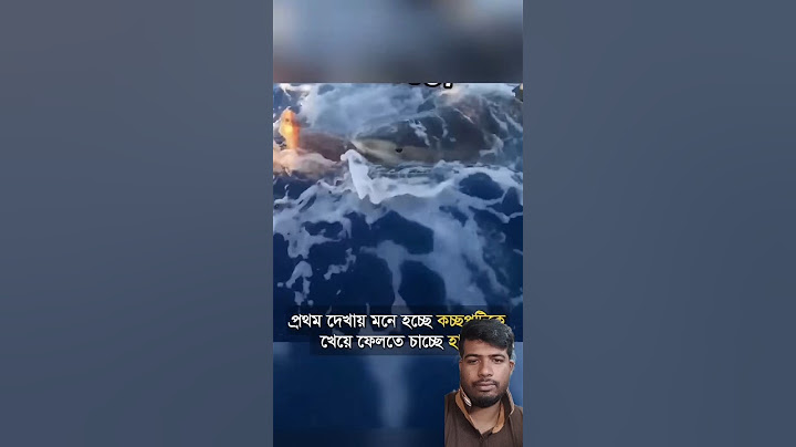 সমুদ্রের মাঝখানে এ ঘটনা না দেখলে বিশ্বাস করা অসম্ভব 😯😯 #Mayajaal #unknownfacts #Sharks #viralshorts.