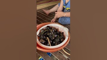 Đặc sản miền quê / ốc bưu đen luộc nước dừa #food #cooking