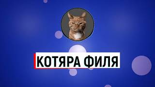 НЕУГОМОННЫЕ КОТЫ😼 СМЕШНЫЕ ЖИВОТНЫЕ🙀🐶🐷 Я РЖАЛ ПОЛ ЧАСА😂