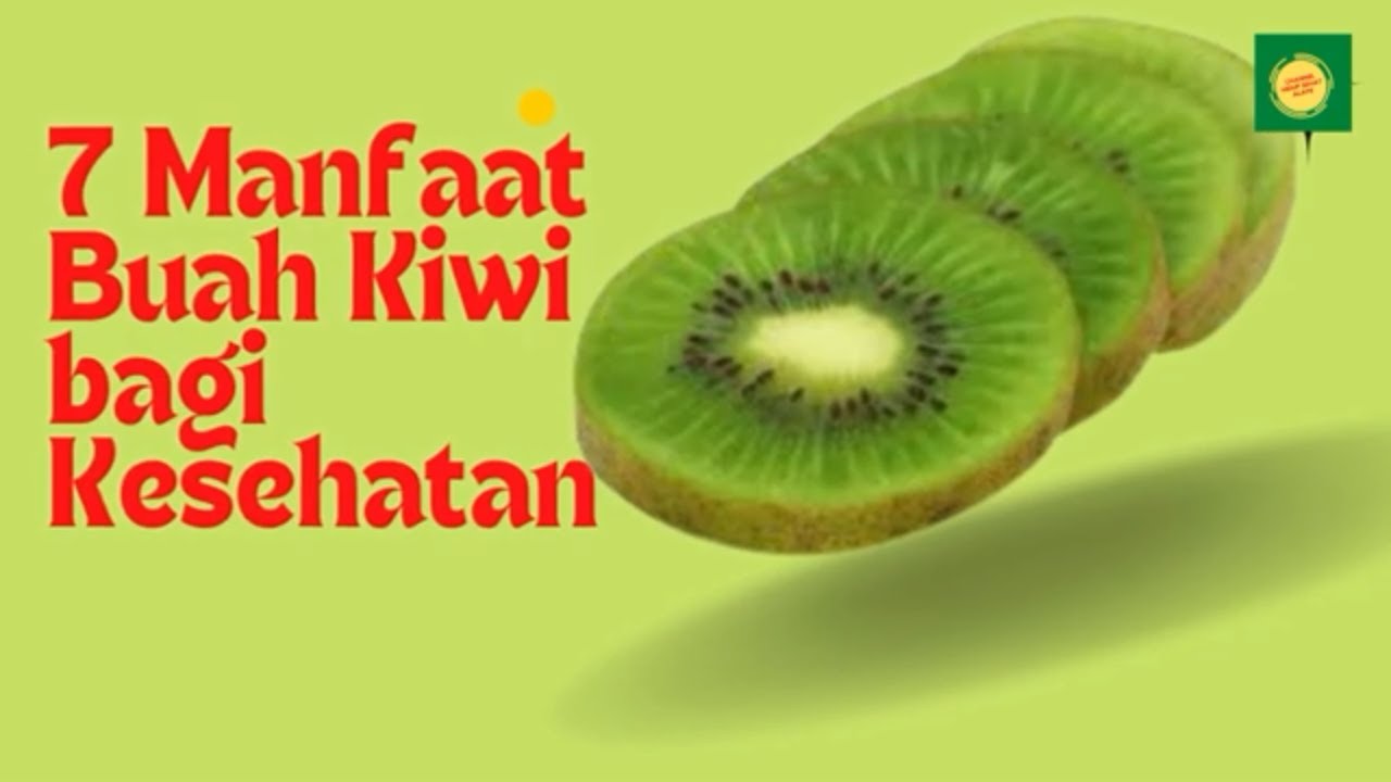 7 Manfaat dan Khasiat Buah Kiwi untuk Kesehatan dan Kecantikan Tubuh